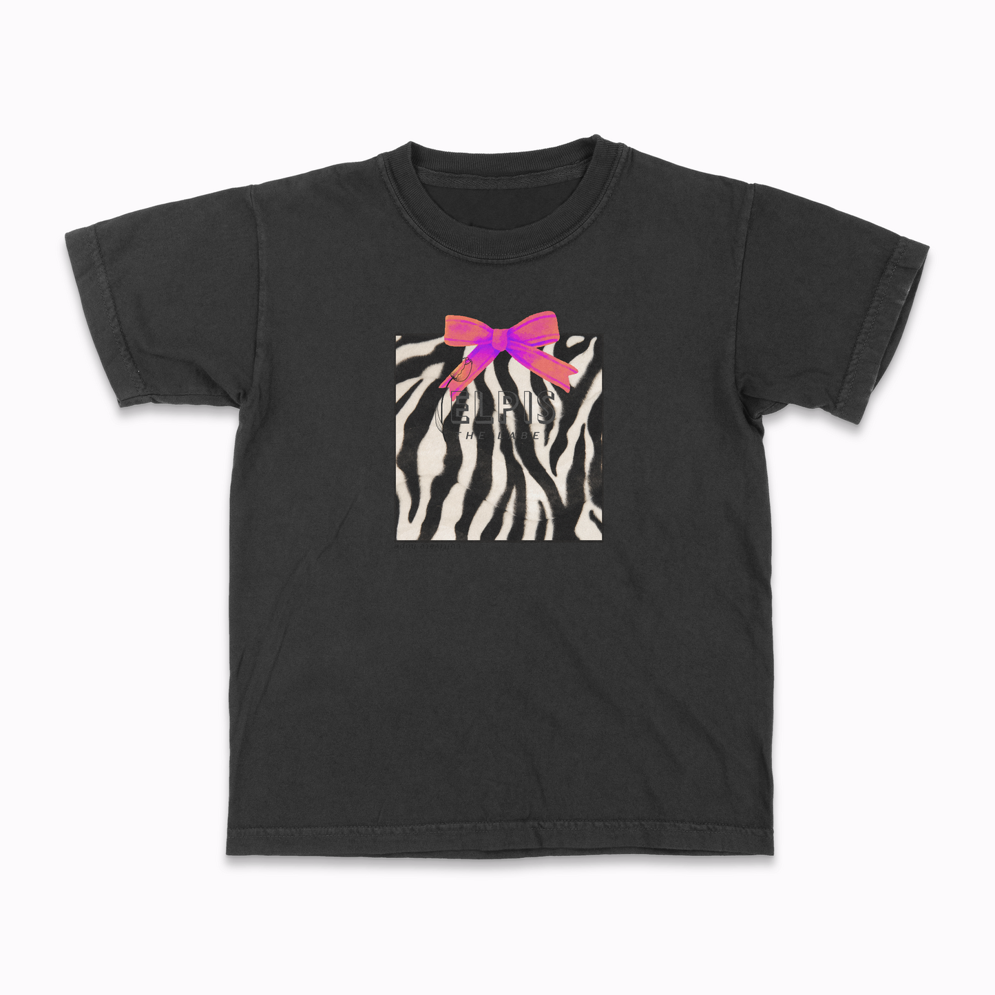 ZEBRA II, the baby