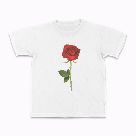 IN BLOOM, the baby